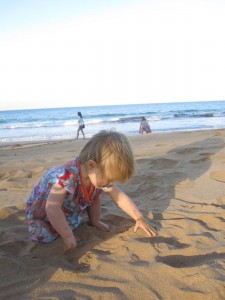 Hartzell-Hawaii-2010-1941-725208.JPG