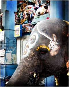 Luxe Style Destination: India