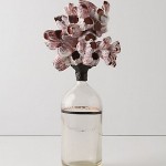 Anthropologie Barnacle bottle
