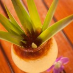 No Ka Oi Mai Tai Westin Maui's signature Mai Tai. Image source: Westin Maui Resort