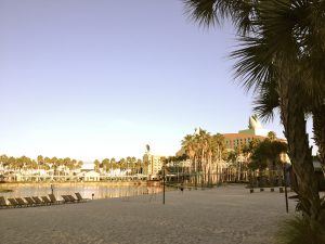 Westin Swan and Dolphin WDW Resort