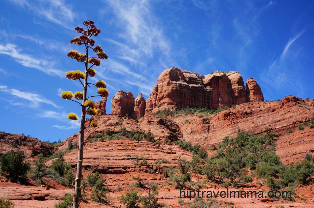 cahtedralrock_hike