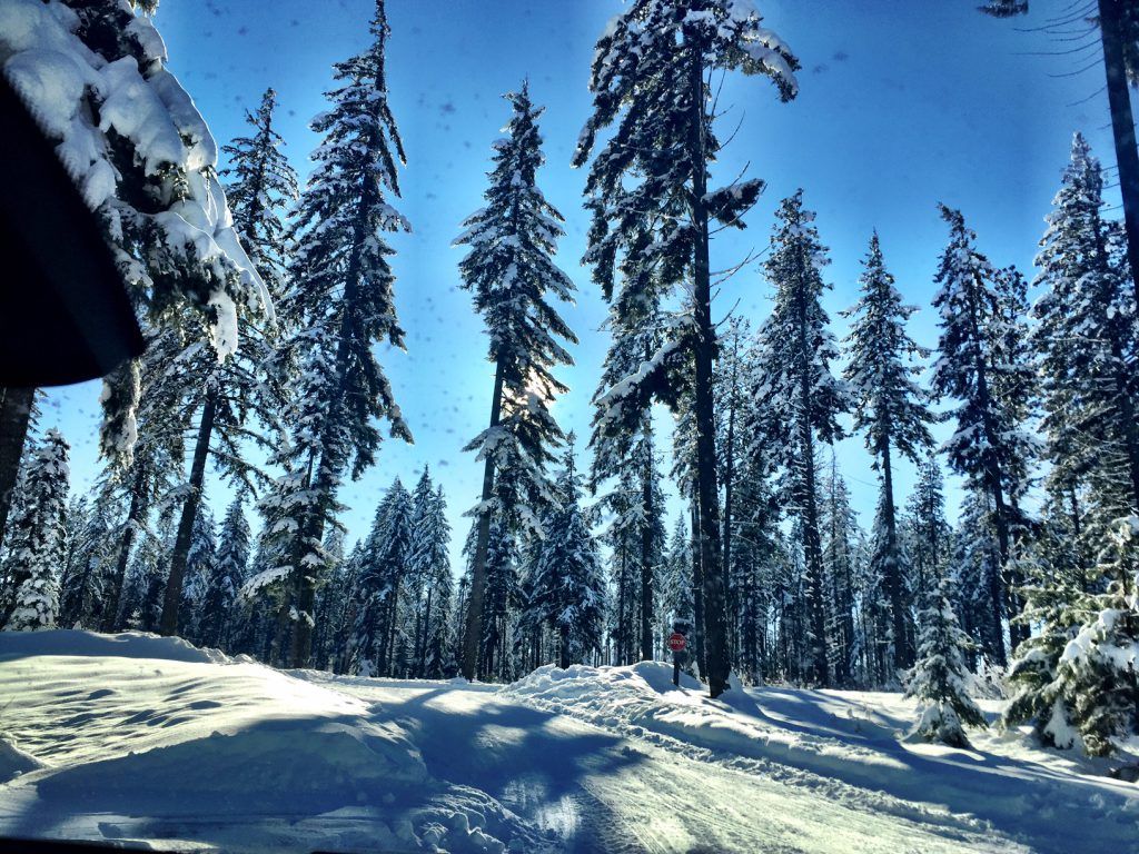 winter in suncadia