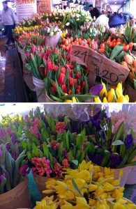 spring tulips at pike place market