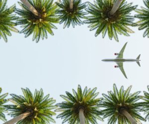 airplane flying in palm trees