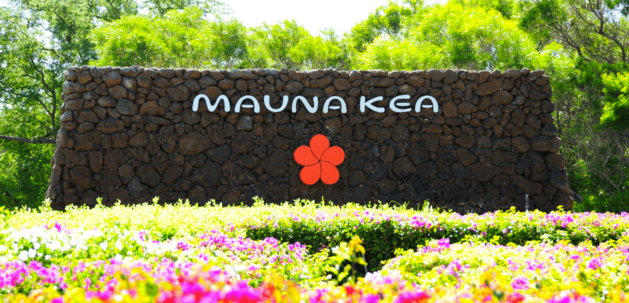 Find Family Hawaiian Paradise at The Mauna Kea Beach Hotel