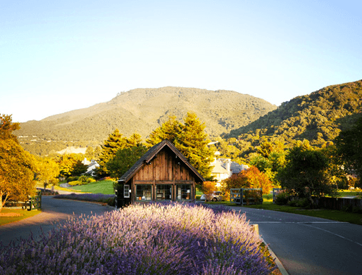 A-Z #WellTraveledFamily Challenge: C is for Carmel Valley Ranch