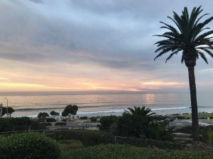 sunset palm trees and ocean breeze